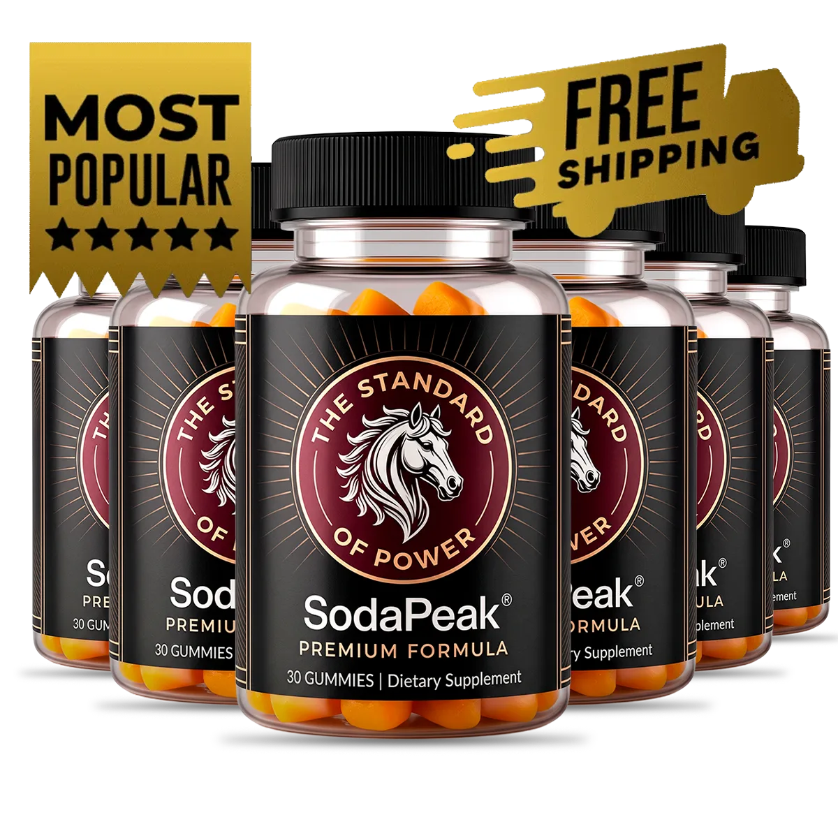 SodaPeak 6 bottles